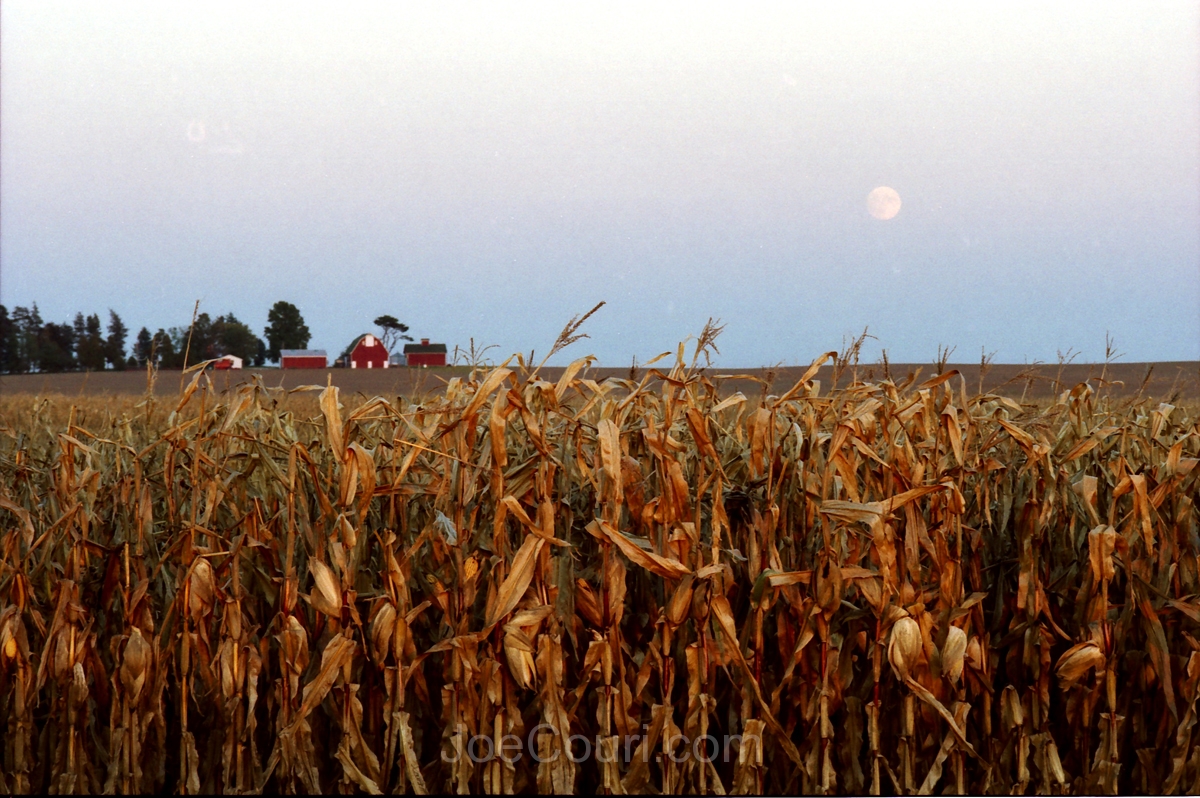 Harvest moon 1